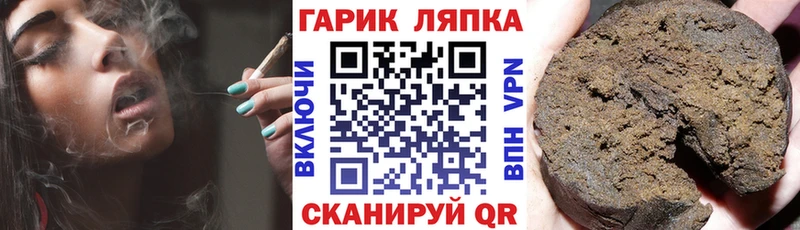 Гашиш Cannabis  как найти закладки  Ветлуга 
