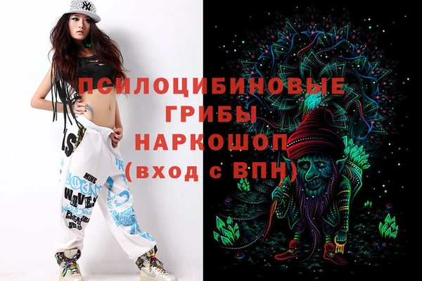 дурь Богданович