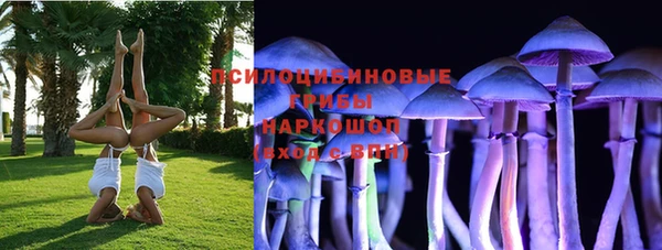 дурь Богданович