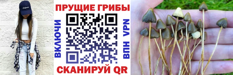 Галлюциногенные грибы MAGIC MUSHROOMS  Ветлуга 